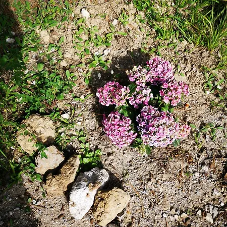 Marilu Dağ evi *